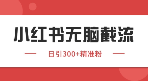 小红书截流同行客源，独家野路子获客玩法 日引200+暴力获客【揭秘】-南友云赚