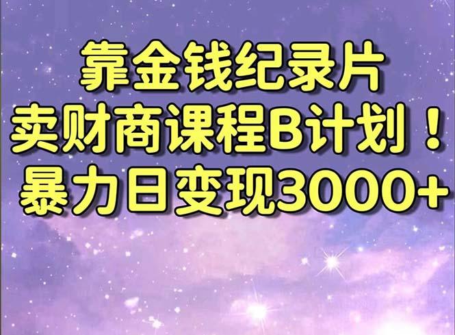 靠金钱纪录片卖财商课程B计划！暴力日变现3000+，喂饭式干货教程！-南友云赚
