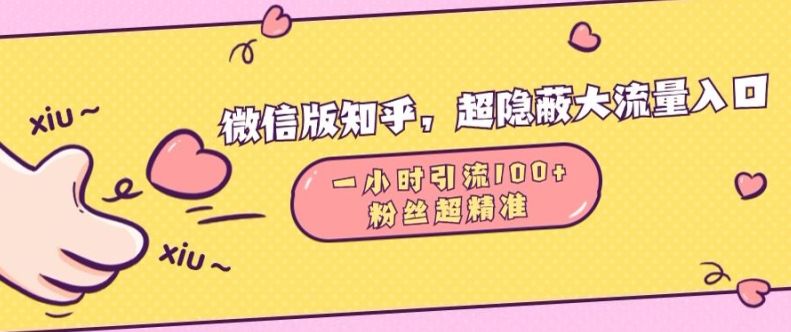 微信版知乎，超隐蔽流量入口1小时引流100人，粉丝质量超高【揭秘】-南友云赚
