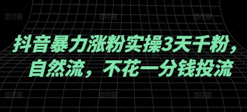 抖音暴力涨粉实操3天千粉，自然流，不花一分钱投流，实操经验分享-南友云赚