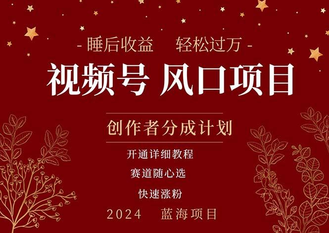 拥有睡眠收益的微信视频号大风口项目，轻松月入过万+，多赛道选择，可…-南友云赚