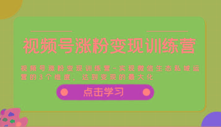 视频号涨粉变现训练营-实现微信生态私域运营的3个维度，达到变现的最大化-南友云赚