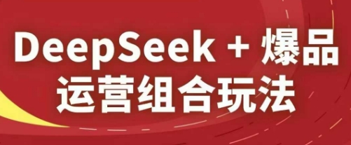 DeepSeek+爆品运营组合玩法，2025淘系精品课-南友云赚