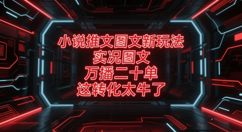 小说推文图文新玩法，实况图文，万播二十单，这转化太牛了！-南友云赚