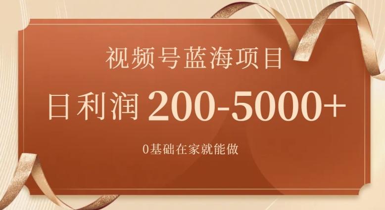 外边收费699视频号项目，最新玩法，简单好操作，一人可做，日四位数-南友云赚