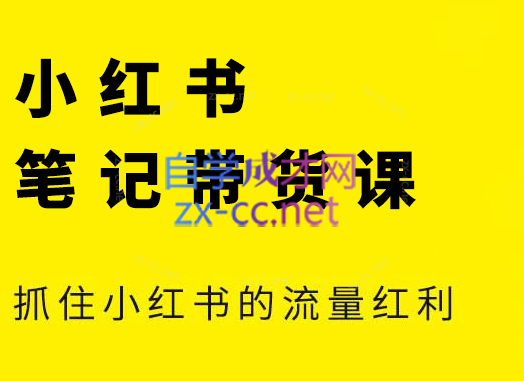 张宾·小红书笔记带货课(更新9月)-南友云赚