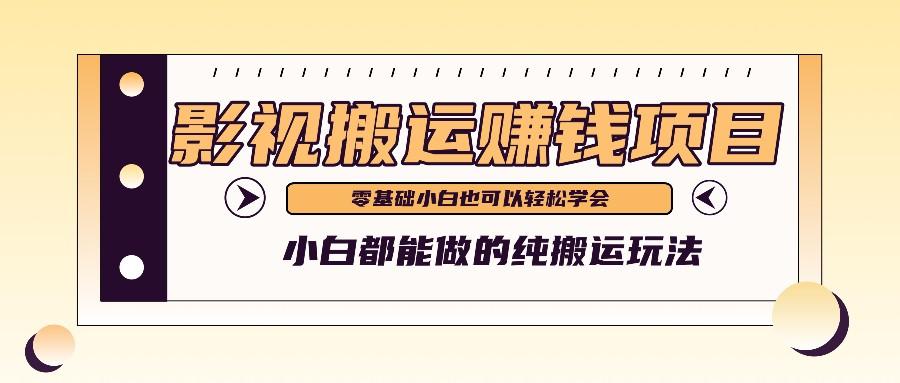 手把手教你操作影视搬运项目，小白都能做零基础也能赚钱-南友云赚