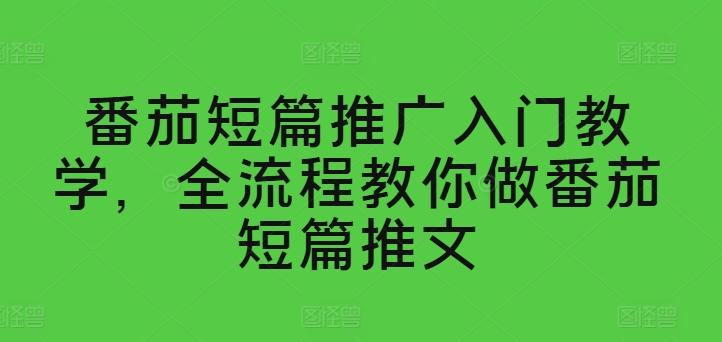 番茄短篇推广入门教学，全流程教你做番茄短篇推文-南友云赚