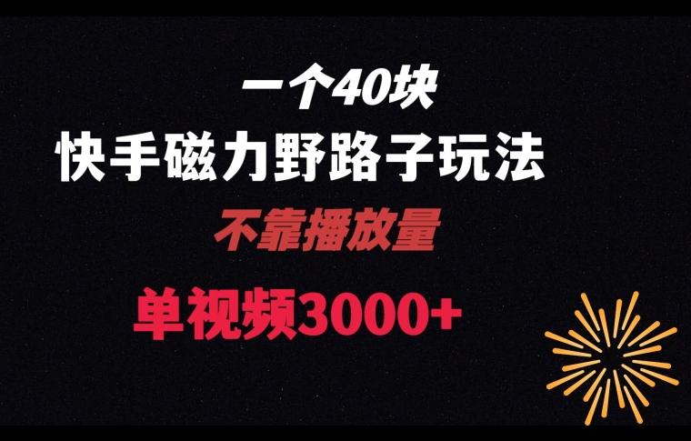 一个40块，快手联合美团磁力新玩法，无视机制野路子玩法，单视频收益4位数【揭秘】-南友云赚