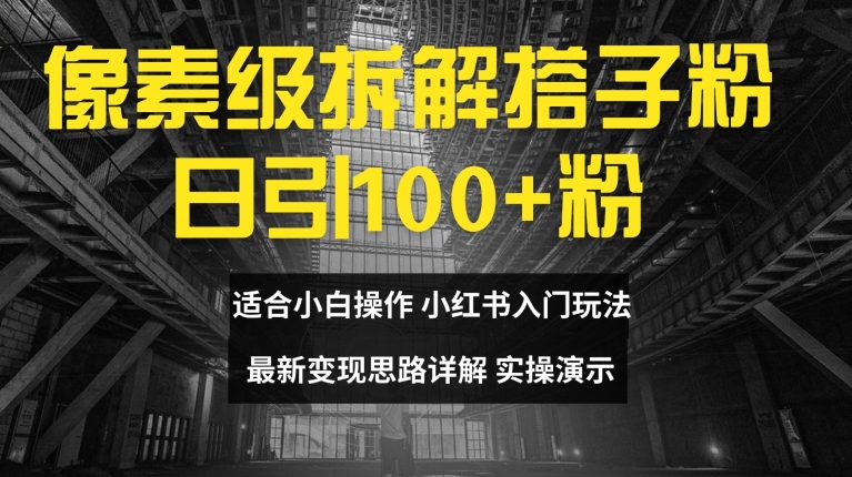 像素级拆解搭子粉，日引100+，小白看完可上手，最新变现思路详解【揭秘】-南友云赚
