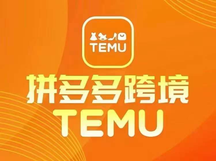 最新TEMU拼多多跨境教程，开店、运营、选品-南友云赚