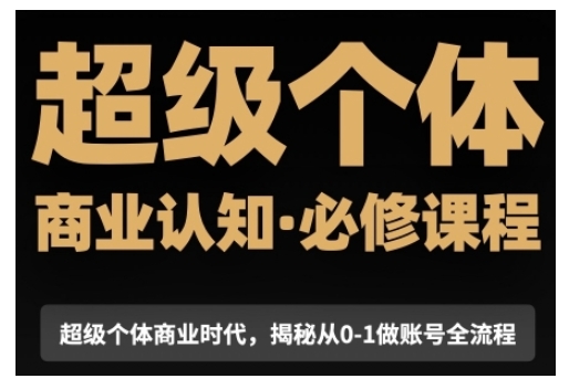 超级个体商业认知觉醒视频课，商业认知·必修课程揭秘从0-1账号全流程-南友云赚