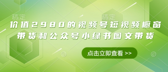 价值2980的视频号短视频橱窗带货和公众号小绿书图文带货-南友云赚