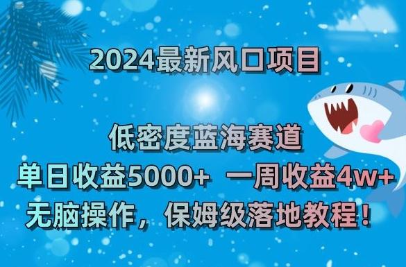 2024最新风口项目，低密度蓝海赛道，单日收益5000+，一周收益4w+！【揭秘】-南友云赚