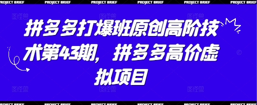 拼多多打爆班原创高阶技术第43期，拼多多高价虚拟项目-南友云赚