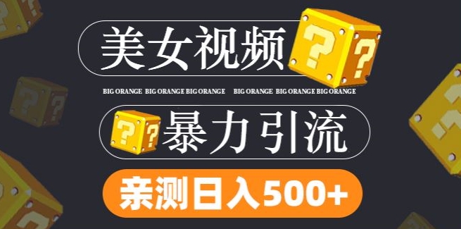 搬运tk美女视频全网分发，日引s粉300+，轻松变现，不限流量不封号【揭秘】-南友云赚