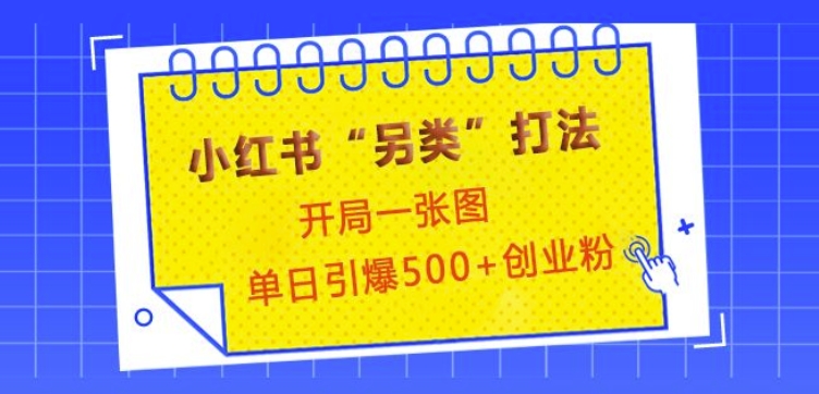 小红书“另类”打法，开局一张图，单日引爆500+精准创业粉【揭秘】-南友云赚