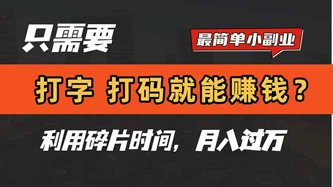 只需要打字，打码，就能赚钱？简单的赚钱小副业，利用碎片时间，月入过万-南友云赚