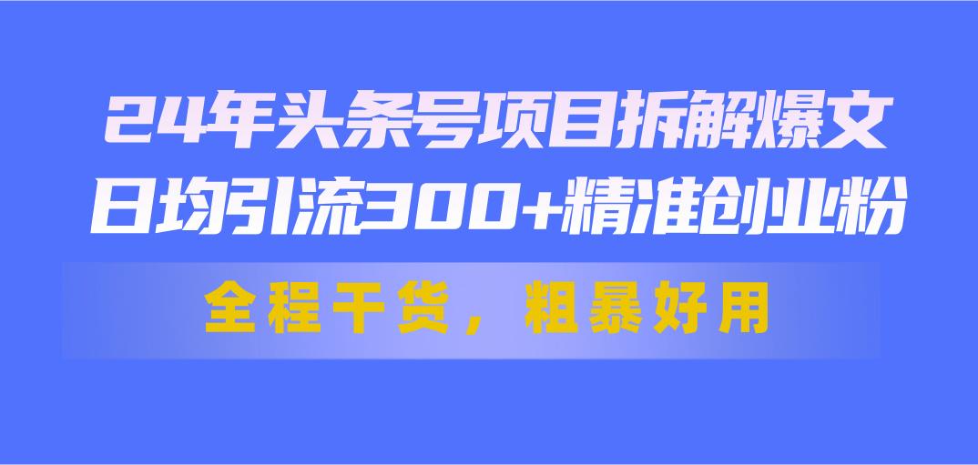 24年头条号项目拆解爆文，日均引流300+精准创业粉，全程干货，粗暴好用-南友云赚