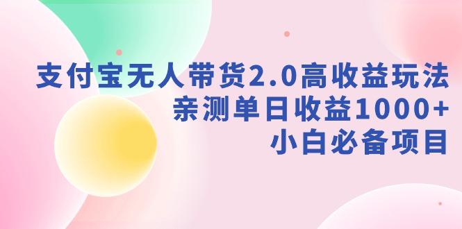 支付宝无人带货2.0高收益玩法，亲测单日收益1000+，小白必备项目-南友云赚