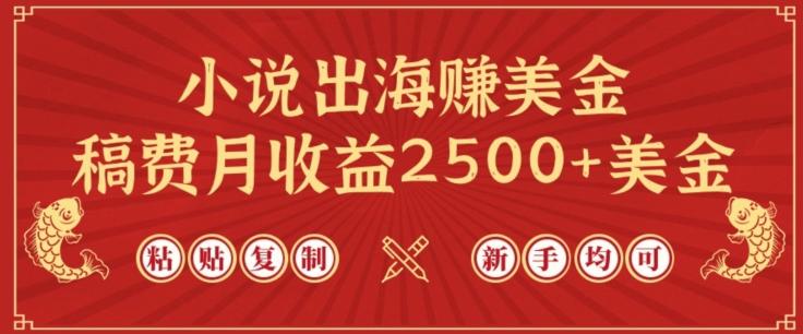 小说出海赚美金，稿费月收益2500+美金，仅需chatgpt粘贴复制，新手也能玩转【揭秘】-南友云赚