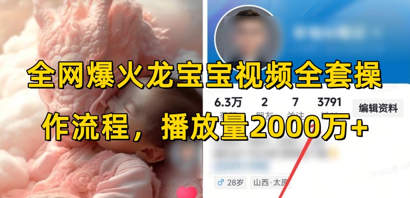 全网爆火龙宝宝视频全套操作流程，播放量2000万+-南友云赚