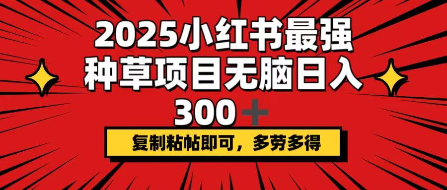 2025小红书最强种草项目，无脑日入300+，复制粘帖即可，多劳多得-南友云赚