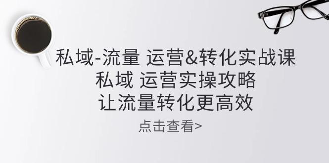 私域-流量 运营&转化实操课：私域 运营实操攻略 让流量转化更高效-南友云赚