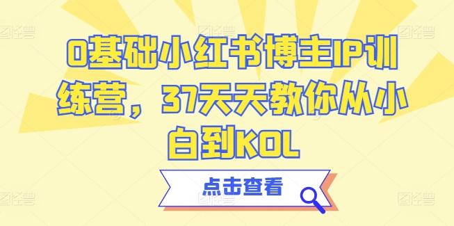 0基础小红书博主IP训练营，37天天教你从小白到KOL-南友云赚