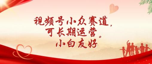 视频号小众赛道，可长期运营，小白友好【揭秘】-南友云赚