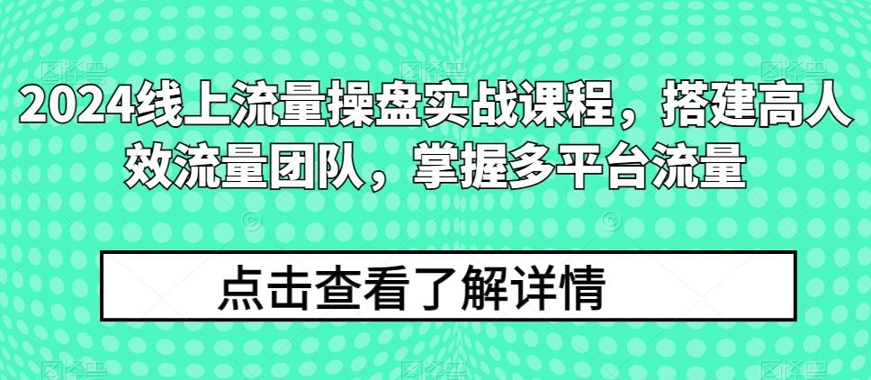 2024线上流量操盘实战课程，搭建高人效流量团队，掌握多平台流量-南友云赚