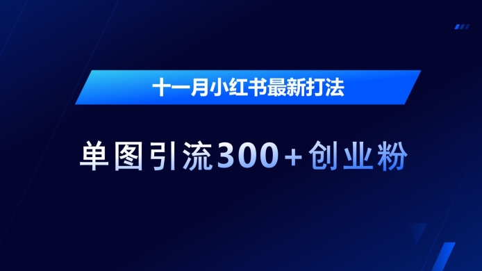 十一月小红书最新打法，单图引流300+创业粉【揭秘】-南友云赚