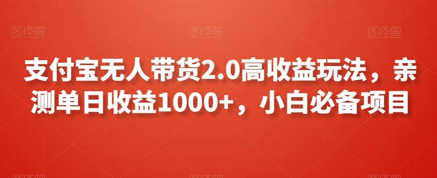 支付宝无人带货2.0高收益玩法，亲测单日收益1000+，小白必备项目【揭秘】-南友云赚