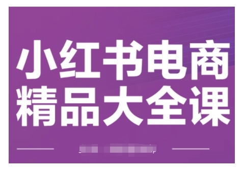小红书电商精品大全课，快速掌握小红书运营技巧，实现精准引流与爆单目标，轻松玩转小红书电商(更新2月)-南友云赚