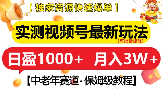 实测视频号最新玩法，中老年赛道，独家资源，月入过W+【揭秘】-南友云赚