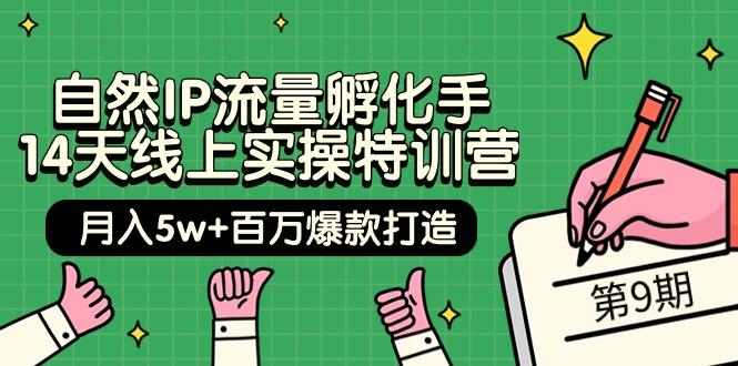 (9881期)自然IP流量孵化手 14天线上实操特训营【第9期】月入5w+百万爆款打造 (74节)-南友云赚