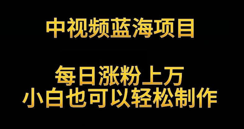 中视频蓝海项目，解读英雄人物生平，每日涨粉上万，小白也可以轻松制作，月入过万不是梦【揭秘】-南友云赚
