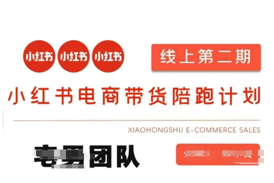 小红书电商带货课2期，月利润20个的小红书电商的有货源，无货源，虚拟产品，付费投流等整套玩法-南友云赚