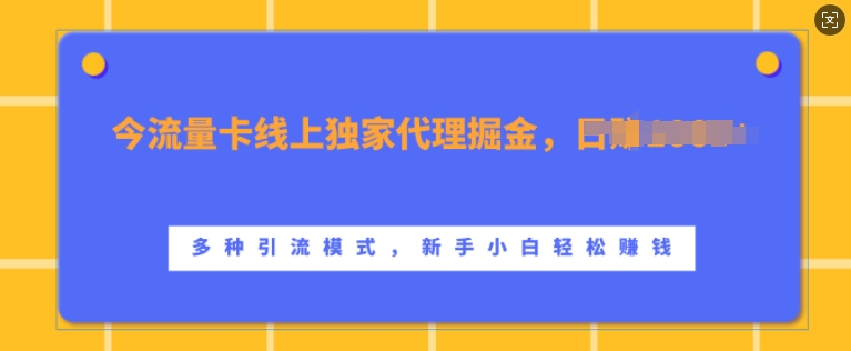 流量卡线上独家代理掘金，日入1k+ ，多种引流模式，新手小白轻松上手【揭秘】-南友云赚