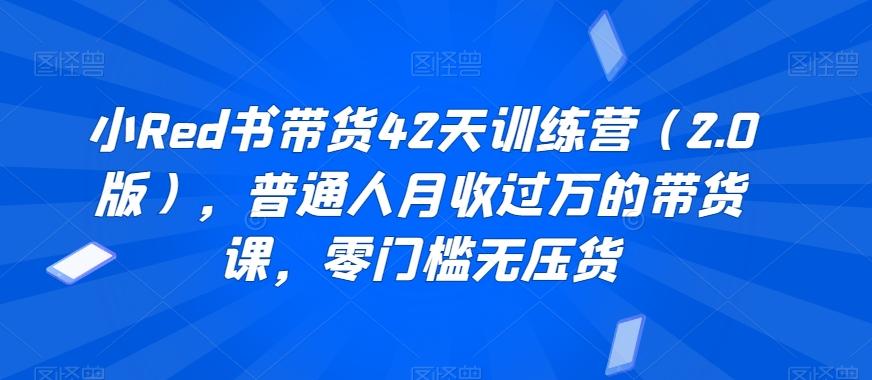 小Red书带货42天训练营(2.0版)，普通人月收过万的带货课，零门槛无压货-南友云赚