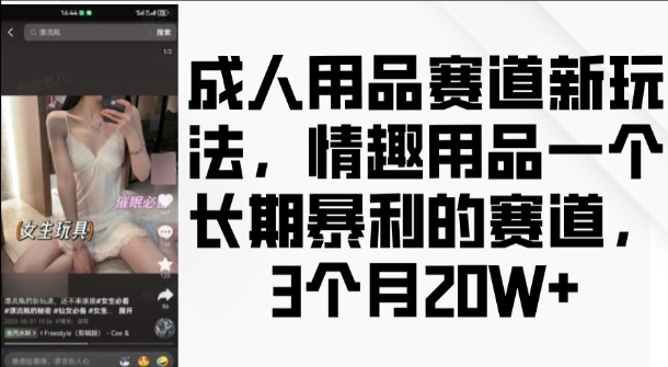 成人用品赛道新玩法，情趣用品一个长期暴利的赛道，3个月收益20个【揭秘】-南友云赚
