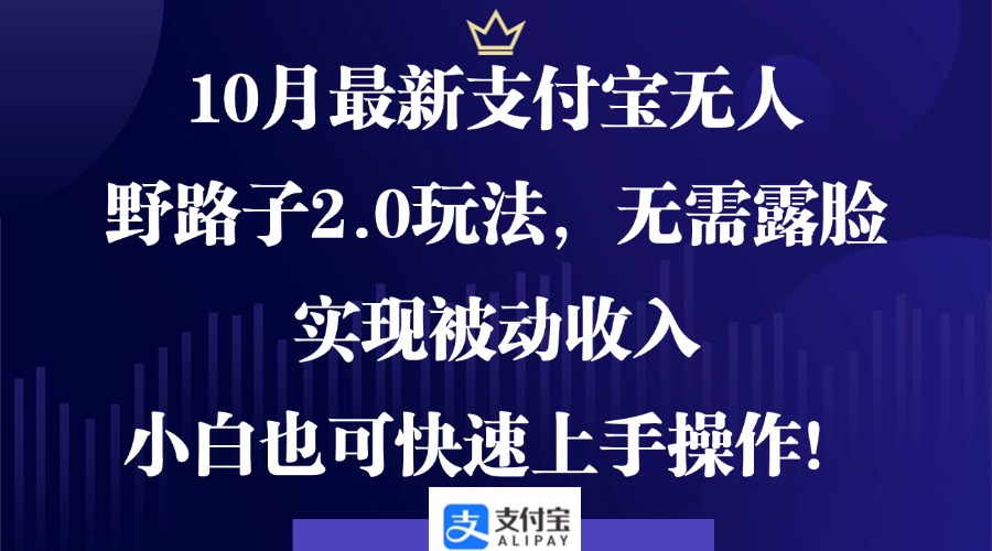 10月最新支付宝无人野路子2.0玩法，无需露脸，实现被动收入，小白也可…-南友云赚