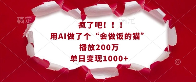 疯了吧！用AI做了个“会做饭的猫”，播放200万，单日变现1k-南友云赚