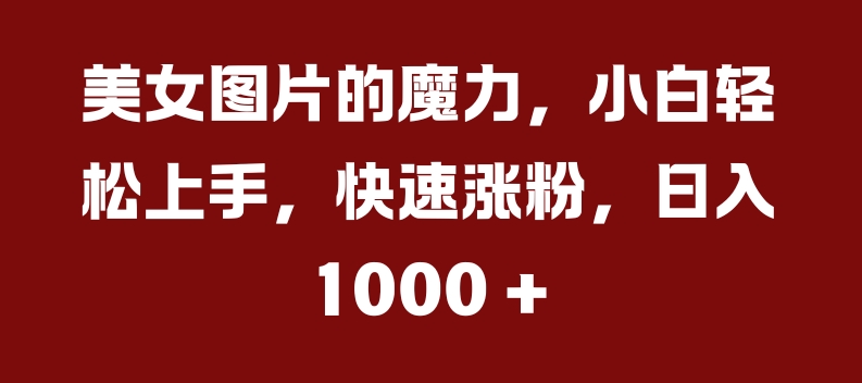 美女图片的魔力，小白轻松上手，快速涨粉，日入几张【揭秘】-南友云赚