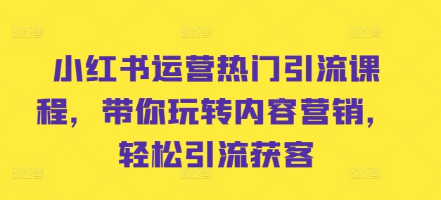 小红书运营热门引流课程，带你玩转内容营销，轻松引流获客-南友云赚