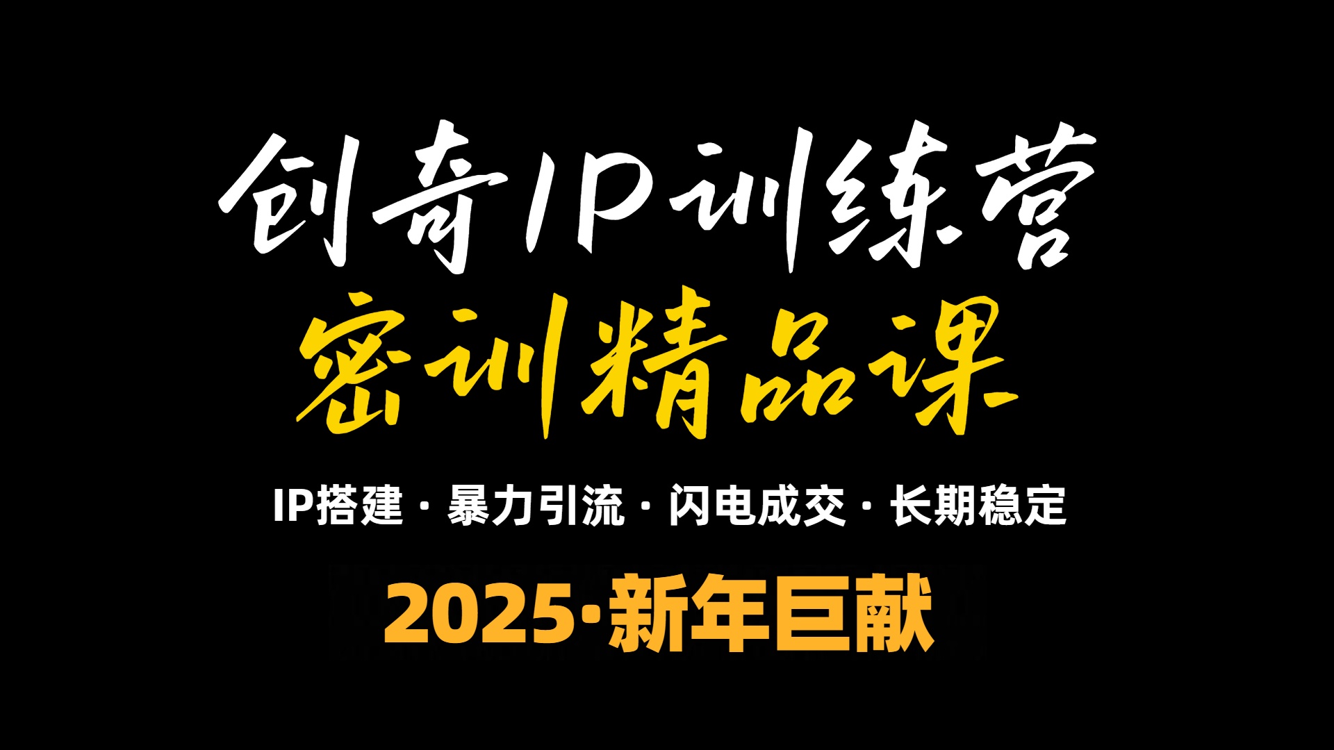 2025年“知识付费IP训练营”小白避坑年赚百万，暴力引流，闪电成交-南友云赚