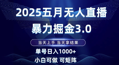 2025五月无人直播暴力掘金3.0，当天上手，当天拿结果，单号日入1k+小白可做可矩阵【揭秘】-南友云赚