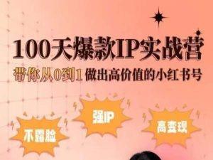 小红书100天爆款IP实战营，带你从0到1做出高价值的小红书号-南友云赚