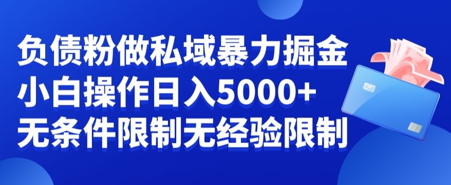 负债粉私域暴力掘金，小白操作入5000，无经验限制，无条件限制【揭秘】-南友云赚
