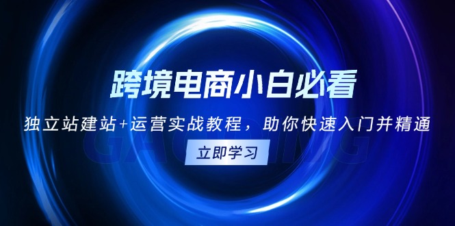 跨境电商小白必看！独立站建站+运营实战教程，助你快速入门并精通-南友云赚